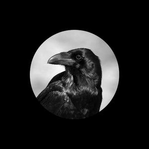 国产一级a毛一级看免费视频
